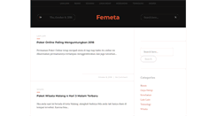 Desktop Screenshot of femeta.org